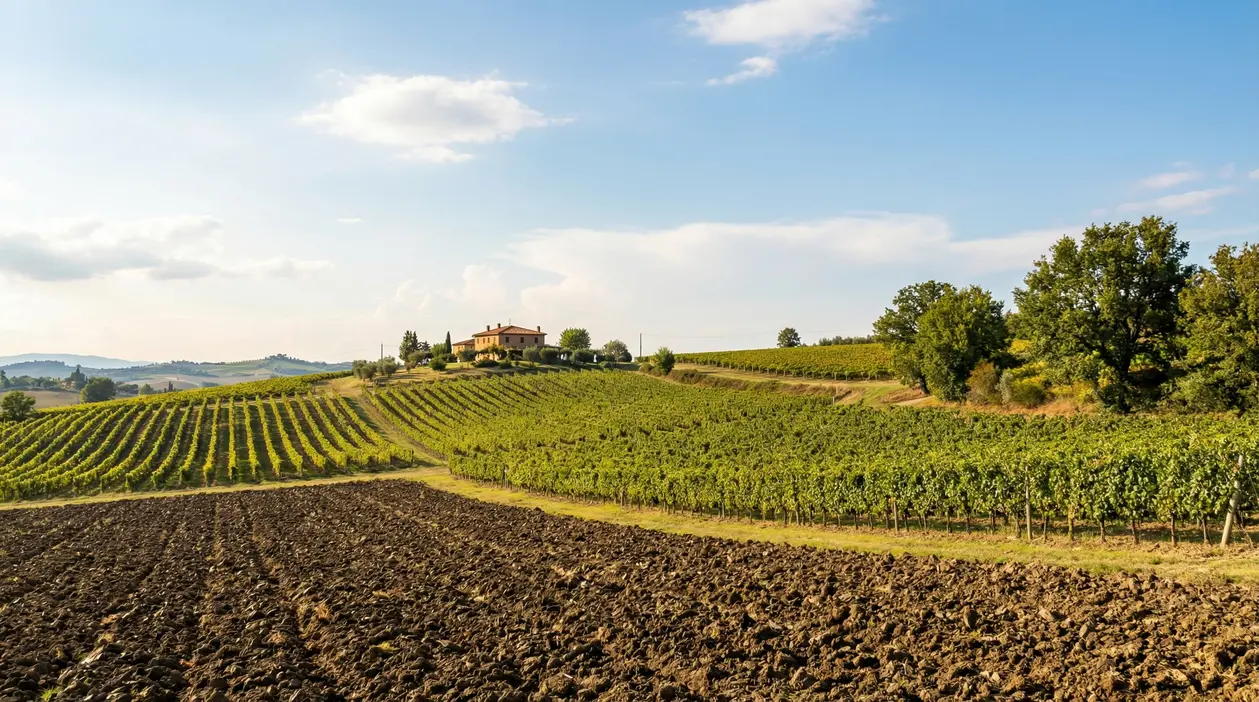 Vigneti su colline con cascina in lontananza, terreno agricolo e cielo sereno